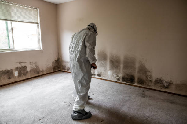 Belleville, PA Mold Remediation Company